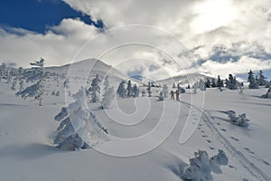 Ski Touring Hokkaido Japan Biei Fuji Blue sky Mountain Scene Forest Snow