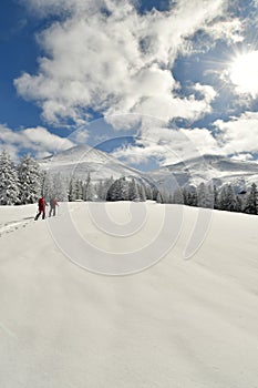 Ski Touring Hokkaido Japan Biei Fuji Blue sky Mountain Scene Forest Snow