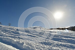 Ski touring hokkaido japan in winter snow beautiful outdoor landscape