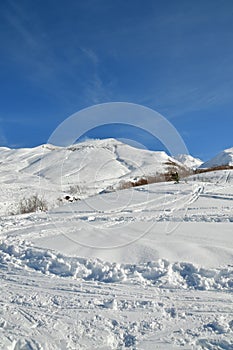 Ski touring hokkaido japan in winter snow beautiful outdoor landscape