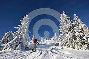 Ski Touring on Krizava, Martinske hole, Mala Fatra, Slovakia