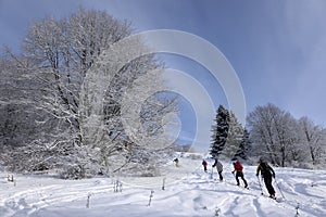 Ski Touring on Lysec, Great Fatra, Turiec Region, Slovakia