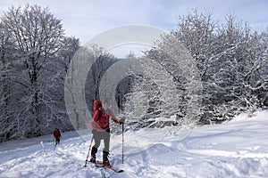 Ski Touring on Lysec, Great Fatra, Turiec Region, Slovakia