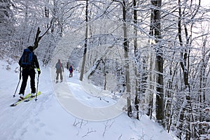 Ski Touring on Lysec, Great Fatra, Turiec Region, Slovakia