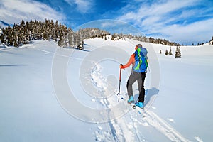 Ski touring in the powder snow, Transylvania, Carpathians, Romania