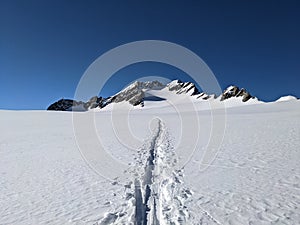 ski touring trail in the mountains. Alps in Europe, Switzerland. Ski mountaineering on the Clariden Glaurs, Glacier Firn