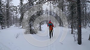 Ski touring - woman with skis in snowy winter forest