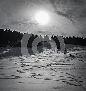 Ski traces on the snowy mountain slope covered with fresh white snow black and white landscape photo. Slovakia, Mala Fatra region