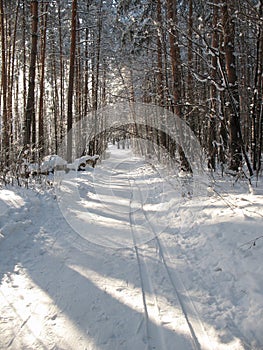 Ski track 12