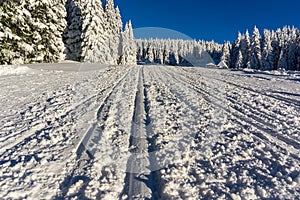 Ski track on a mountain