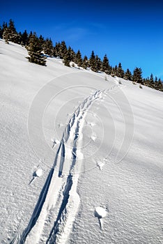 Ski track in snow. Snowy winter country in mountains. Ski mountaineering