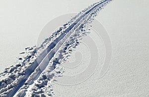 Ski track on snow