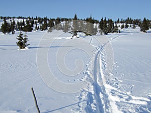 Ski tracks