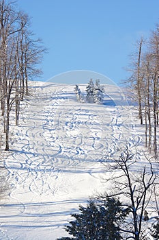 Ski Tracks