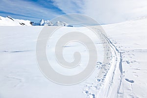 Ski tracks on the fresh snow of a large glacier