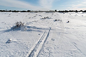Ski tracks in a great plain landscape