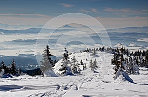 Ski tracks, pine trees with misty blue ridges in the background