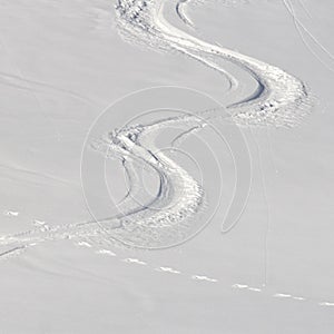 Ski tracks in the powder snow