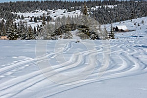 Ski tracks in powder snow