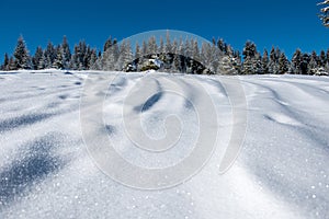 Ski tracks in powder snow