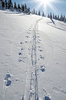 Ski tracks in the snow