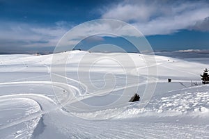 Ski tracks in snow