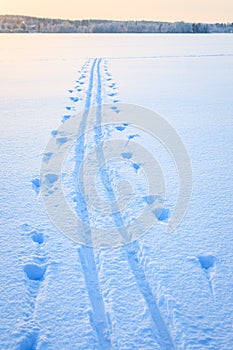 Ski tracks snow lake
