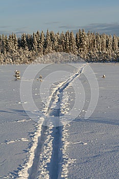 Ski Tracks on Unbeaten Snow