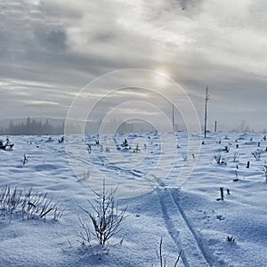 Ski tracks in winter wasteland on a misty day in Lapland