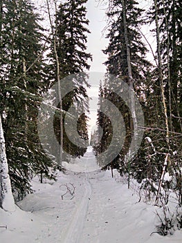 Ski trail