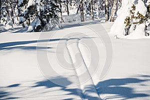 Ski trail in fluffy snow on winter day. Playing sports in nature. Parallel footprints from sled