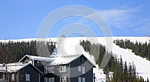 Ski trail in Lindvallen. Salen. Dalarna county. Sweden photo