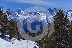 Ski trail in the mountains in winter