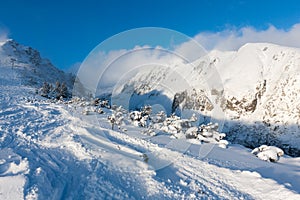 Ski trail in winter resort in Slovakia