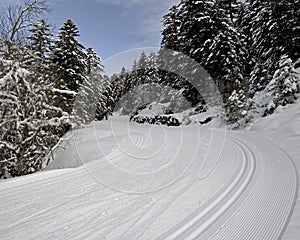 Ski trails for cross-country in mountain forest