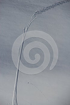 Ski Trails in Snow