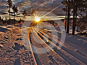 Ski trails with sun beams