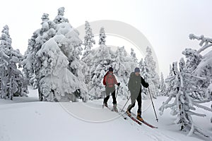 Skialp in Mala Fatra, Turiec Region, Slovakia