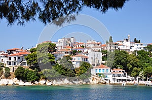 Skiathos town houses near harbour