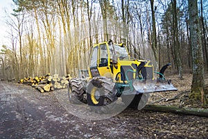 Skidder machine in the forest, spring day