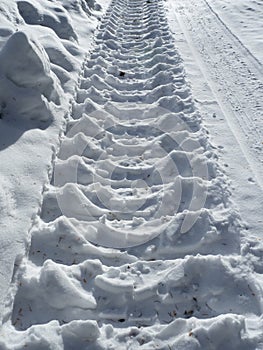 Skidmark in snow with sunlight