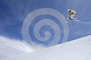 Skier