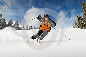 Skier photo