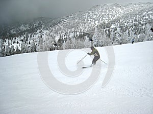 Skier