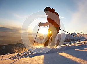 Skier