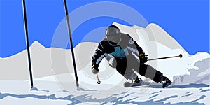 Skier