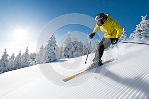 Skier in high mountain