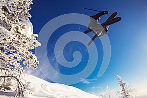 Skier jumps in fresh snow freeride in mountains against background forest. Extreme sport concept