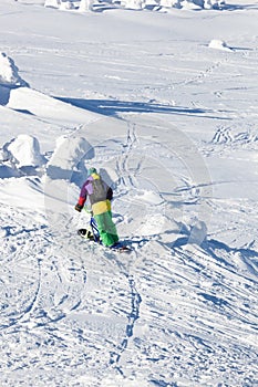 Skier on monoski in high mountains