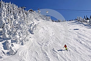 Skier on Mont Tremblant slopes with aerial gondolas on the background and frozen trees, Quebec